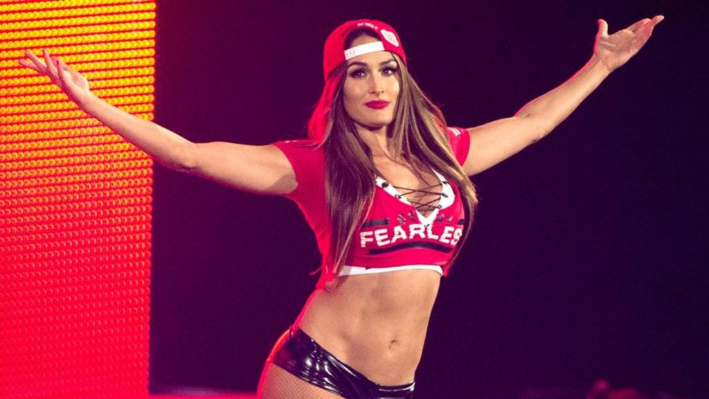 nikki bella net worth