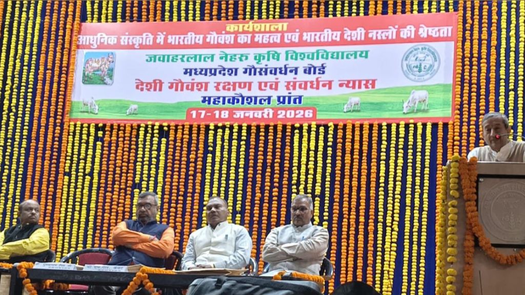 Best Indian Cow Breeds for Dairy