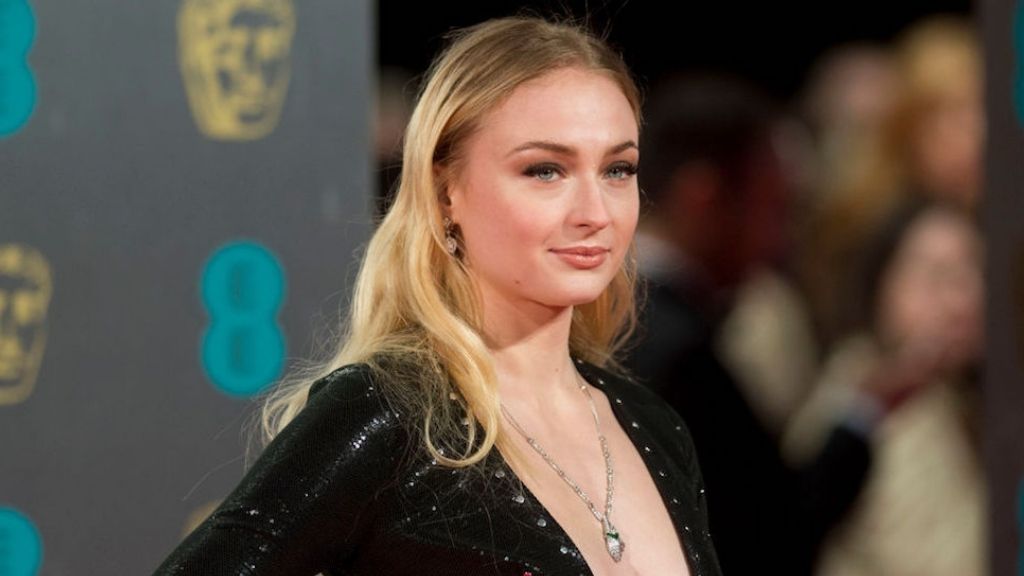 Sophie Turner income sources
